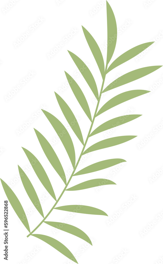 Leaf Illustration Leaf Illustration