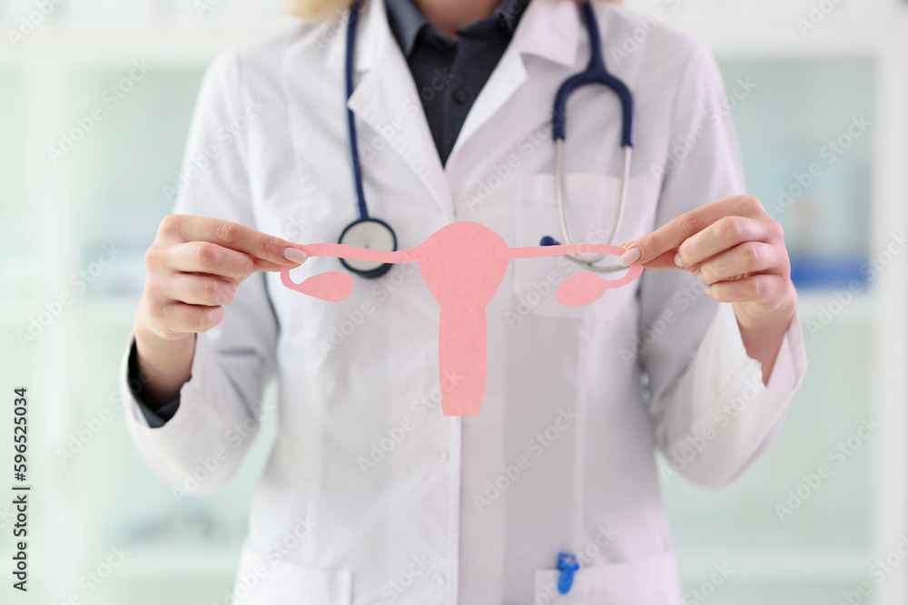 Gynecologist holds uterus with ovaries cut out of cardboard