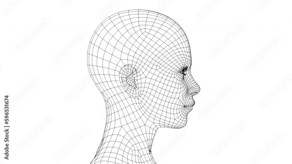 3d video. Volumetric frame of a female head is spinning on a white background. 3d video. Volumetric frame of a female head is spinning on a white background.