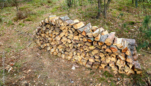 Preparation of firewood for the winter. Stacks of firewood in the forest. Firewood background. Sawed and chopped trees. Stacked wooden logs.. Firewood.
