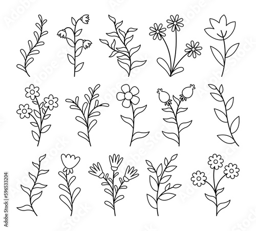 Set of floral elements. Flower collection with leaves.