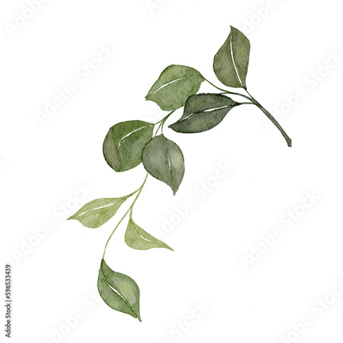 Watercolor Leaves Illustration Watercolor Leaves And Flower Watercolor Boho Decorative Leaves Green Watercolor Leaves Element Aesthetic Leaves Watercolor Leaves Hand Painted Watercolor Leaves
Abstract