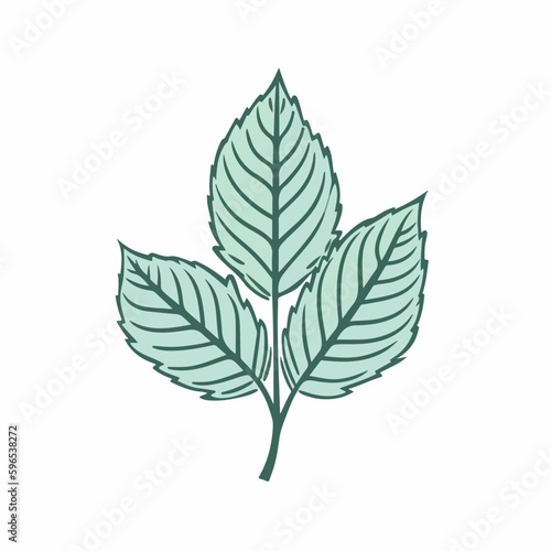 mint leaf logo flat vector illustration. mint leaf logo hand drawing isolated vector illustration
