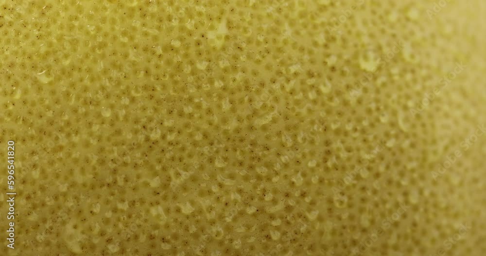 a ripe yellow pomelo covered with water drops in close-up, delicious fresh yellow pomelo with water drops on the peel a ripe yellow pomelo covered with water drops in close-up, delicious fresh yellow pomelo with water drops on the peel