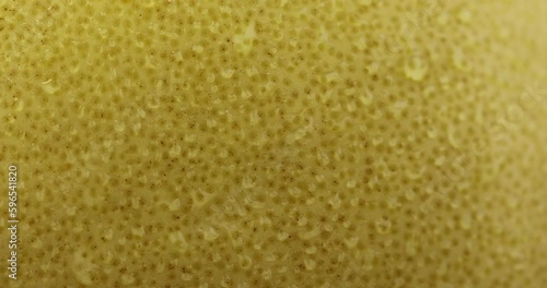 Wallpaper Mural a ripe yellow pomelo covered with water drops in close-up, delicious fresh yellow pomelo with water drops on the peel Torontodigital.ca