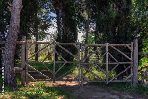 Cancello con tronchi d albero