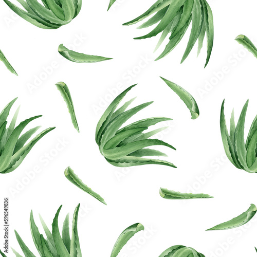 Aloe vera plant and aloe leaves. Watercolor seamless pattern on a white background. For packaging cosmetics, scrapbooking, wrapping paper