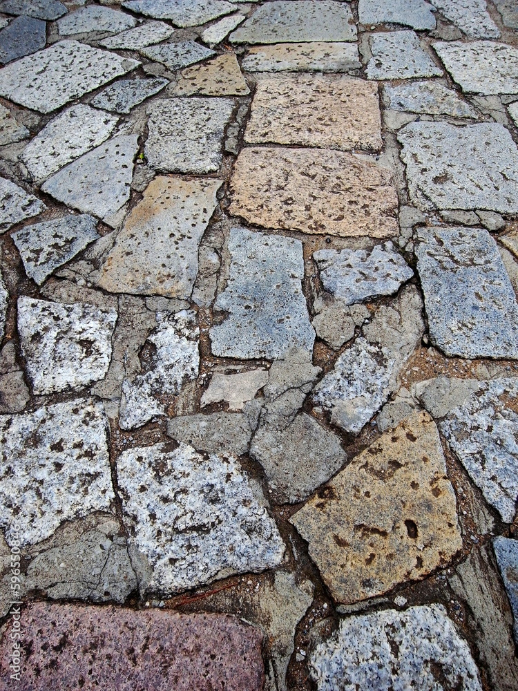 Obraz premium 寺参道の石畳