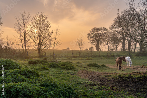 Bretagne an der cotes-d Armor photo