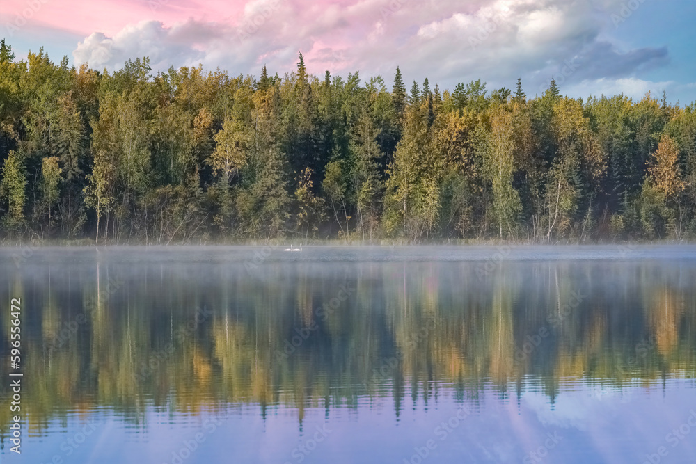 Yukon in Canada, wild landscape in autumn of the Tombstone park, reflection of the trees in a lake at sunrise
