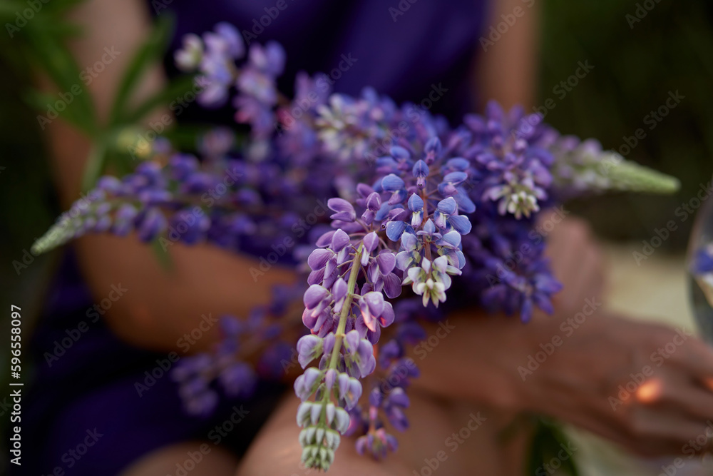 Woman holds purple lupins. Wellness closeness to nature. Self-discovery and connecting with nature concept Woman holds purple lupins. Wellness closeness to nature. Self-discovery and connecting with nature concept