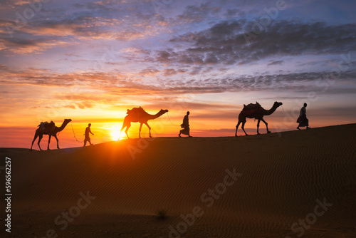 Indian cameleers camel driver with camel silhouettes in dunes on sunset. Jaisalmer  Rajasthan  India