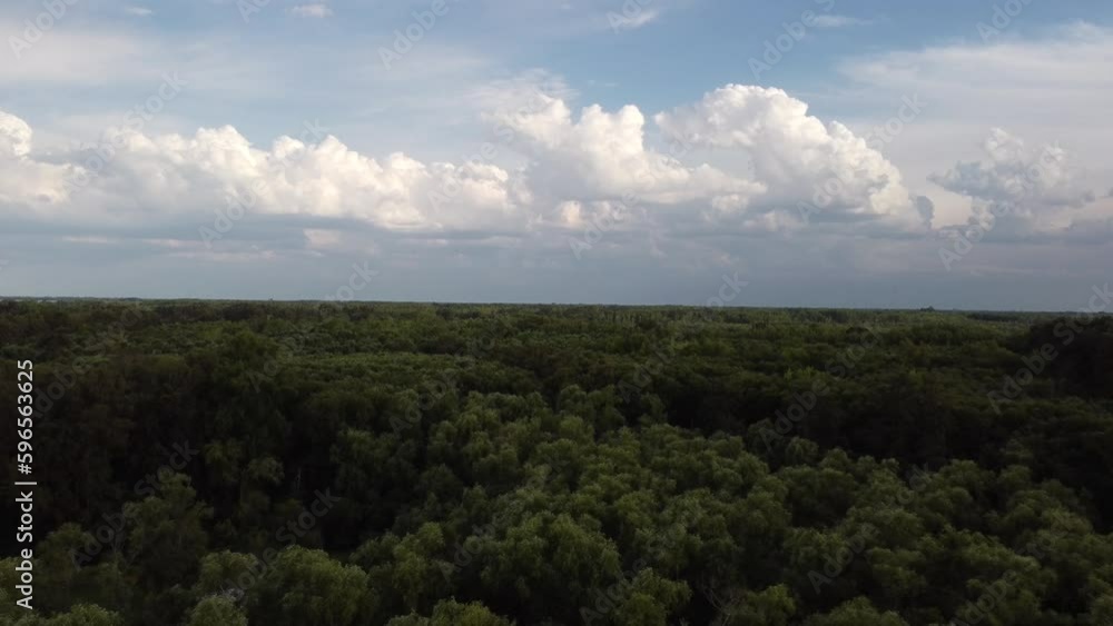Backward drone flight over the Amazon rainforest at sunset. Backward drone flight over the Amazon rainforest at sunset.