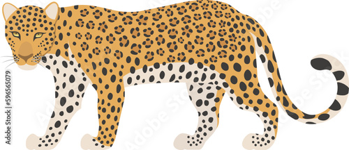 ヒョウ