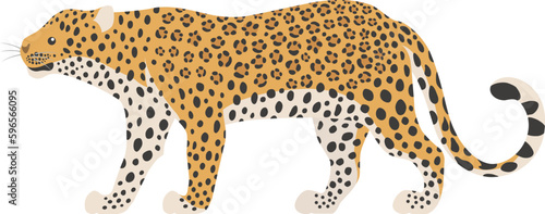 ヒョウ