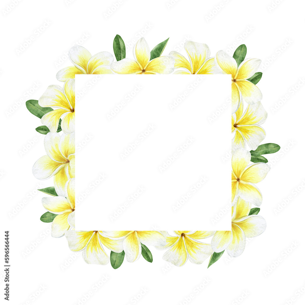 Yellow plumeria flowers. Tropical exotic flowers. Watercolor frame on a white background. For greeting cards, postcard, scrapbooking, packaging design