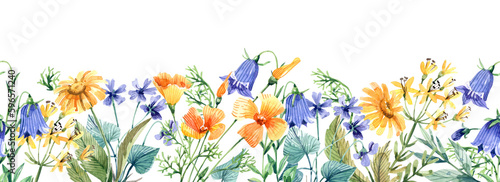 Wildflowers seamless border with bluebell, daisy, violet flowers on white background. © Tonia Tkach