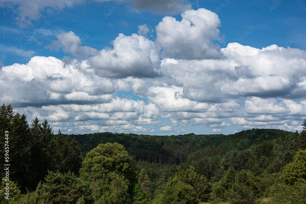 clouds over a forest on a summer day