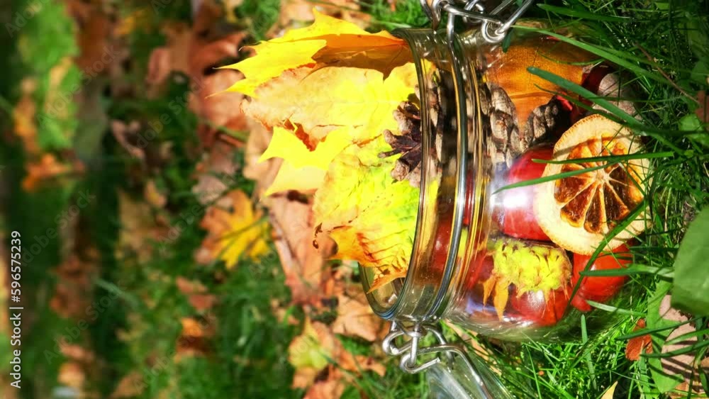 Glass jar with autumn leaves in a forest glade. Vertical Colorful autumn set of bright yellow red green orange leaves, big pine cones, brown chestnuts and glass jar. Seasonal decoration, warm natural Glass jar with autumn leaves in a forest glade. Vertical Colorful autumn set of bright yellow red green orange leaves, big pine cones, brown chestnuts and glass jar. Seasonal decoration, warm natural