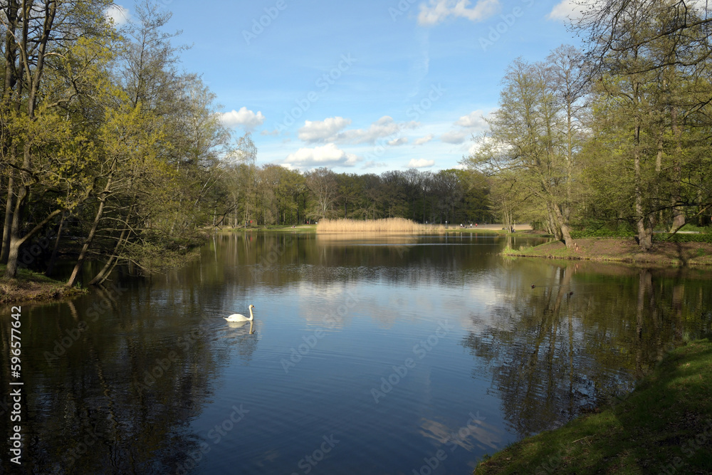 Fototapeta premium jungfernheidesee