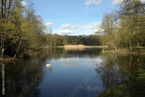 jungfernheidesee