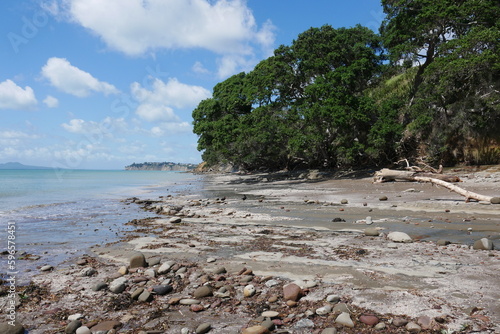 Strand im Long Bay Regional Park bei Auckland Neuseeland