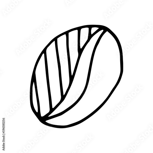 coffee bean hand drawn in doodle style. Suitable for icon, sticker, packaging decor. minimalism, monochrome, Scandinavian