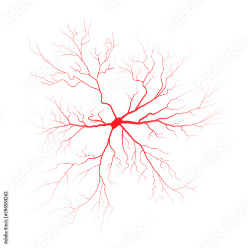 Human eye blood veins vessels silhouettes vector illustration isolated on white background. Eyeballs red veins anatomical human blood vessel artery health system.
