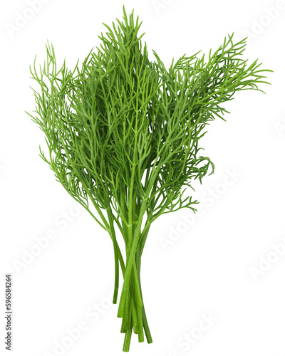 Canvas Print Dill isolated on white background, full depth of field