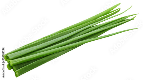 Green Onion isolated on white background  full depth of field