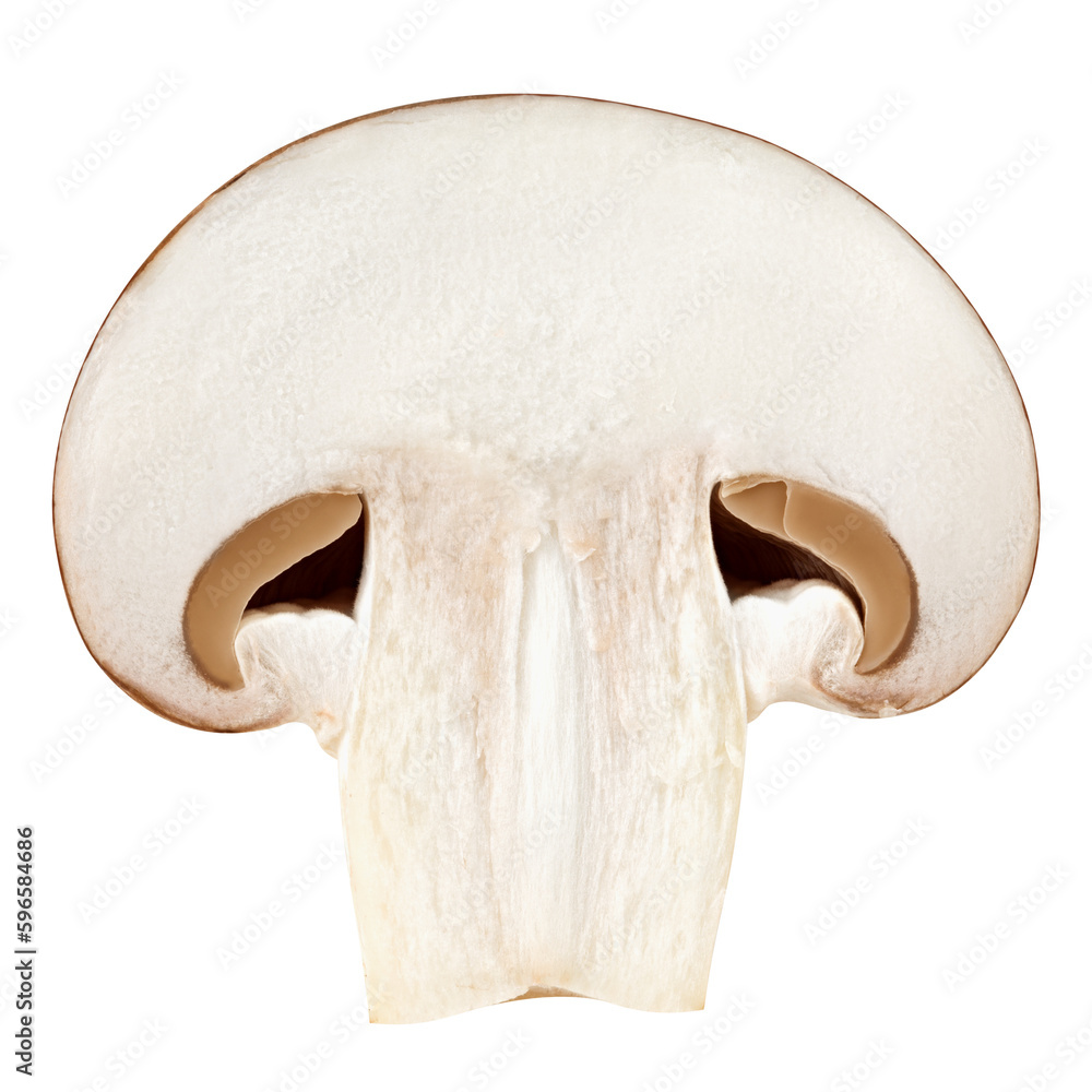 mushroom, champignon, isolated on white background, full depth of field mushroom, champignon, isolated on white background, full depth of field