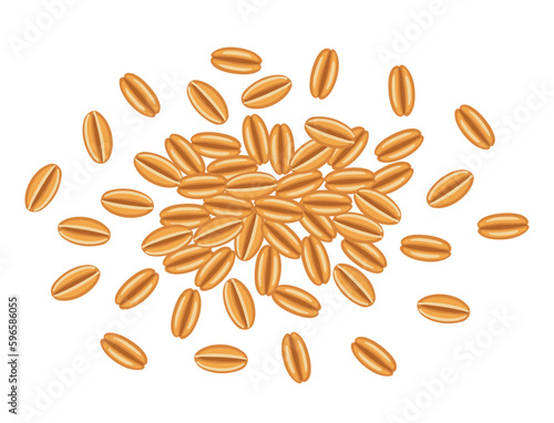 Wheat grains bunch. Cereal rye or barley. Vector illustration.