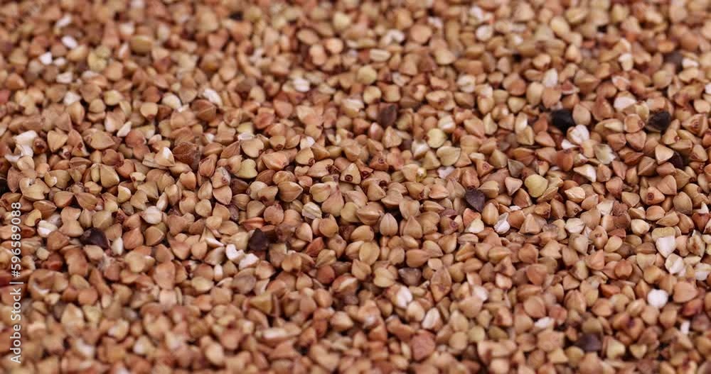 a large amount of low-quality processing of buckwheat groats close-up, Poorly cleaned buckwheat groats for cooking porridge a large amount of low-quality processing of buckwheat groats close-up, Poorly cleaned buckwheat groats for cooking porridge