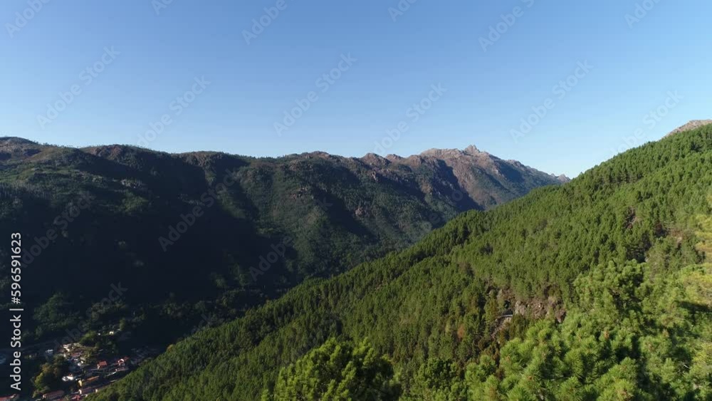 Flying over tree tops, Nature background in 4K Flying over tree tops, Nature background in 4K
