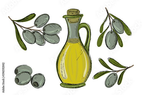 set of green olives branch and leaves, bottles of olive oil, freehand vector illustration