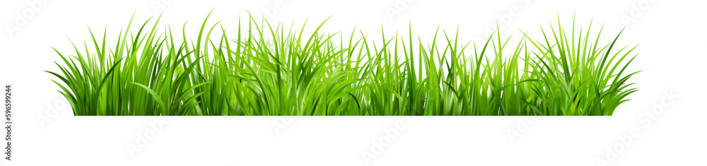 Realistic green grass. Bushes of fresh greens. Spring meadow. Realistic green grass. Bushes of fresh greens. Spring meadow.