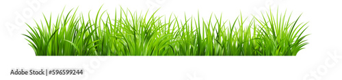 Realistic green grass. Bushes of fresh greens. Spring meadow.