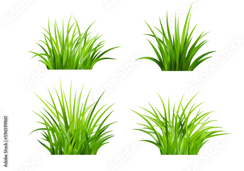 Realistic green grass. Bushes of fresh greens. Spring meadow.