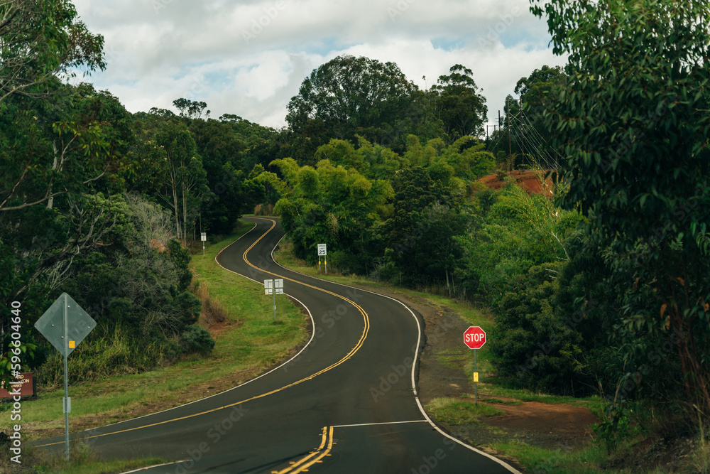 beautiful road through the nature of kauai, hawaii
