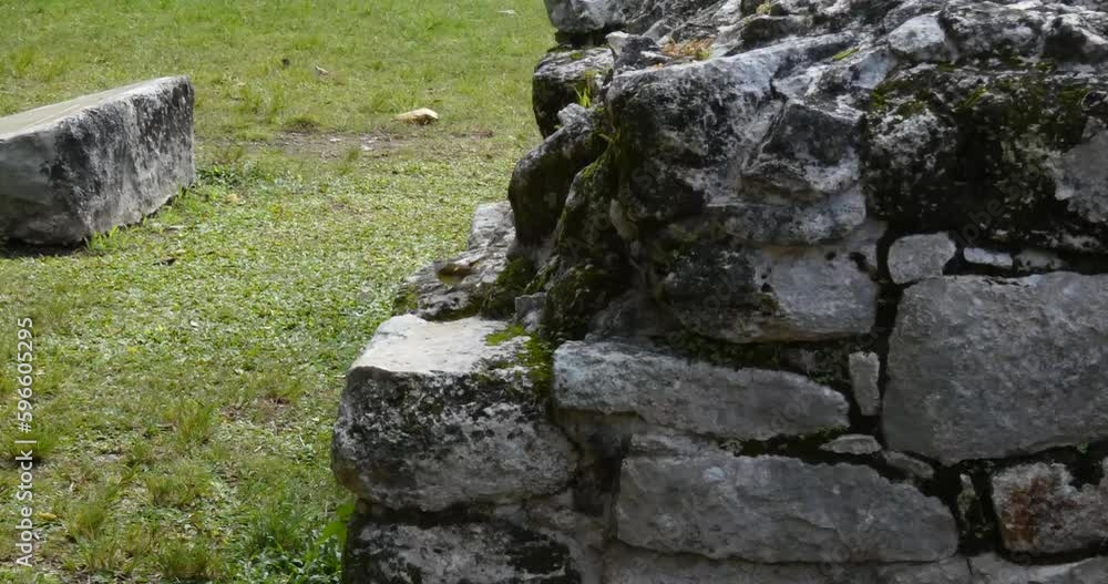 Small bird sitting on the wall of The Altar in Center of Plaza at San Gervasio, Mayan archeological site, Cozumel, Mexico. Small bird sitting on the wall of The Altar in Center of Plaza at San Gervasio, Mayan archeological site, Cozumel, Mexico.
