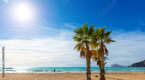 Palm tree on the beach- vacation  relax  resort  paradise  summer holiday concept