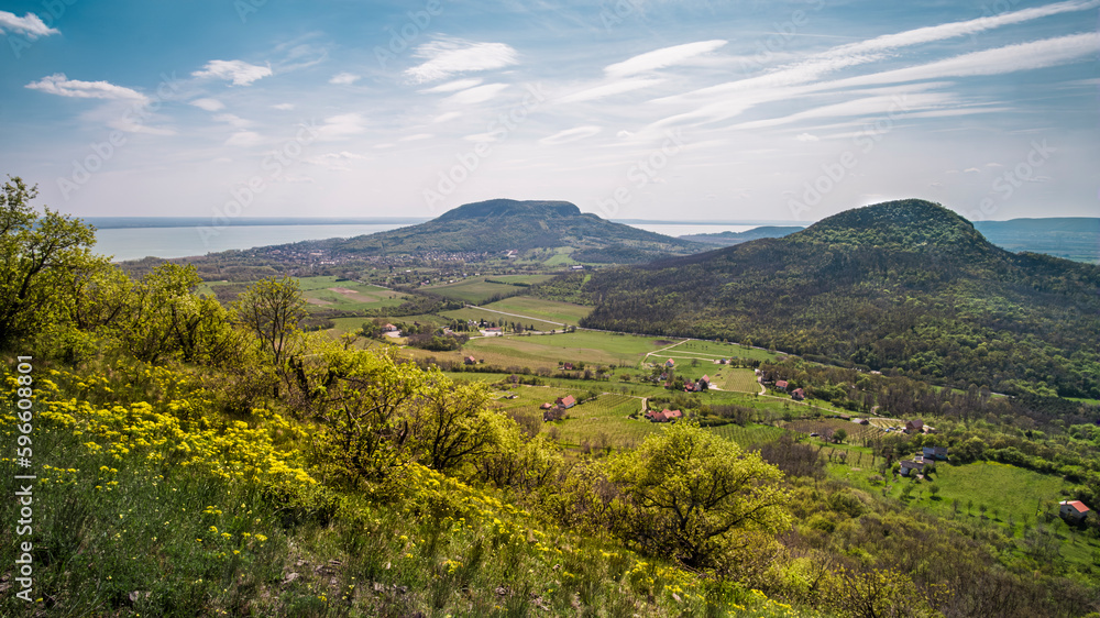Obraz premium Badacsony Hill and Gulács Hill in the spring, Badacsony wine region with the Lake Balaton in the background from Tóti Hill