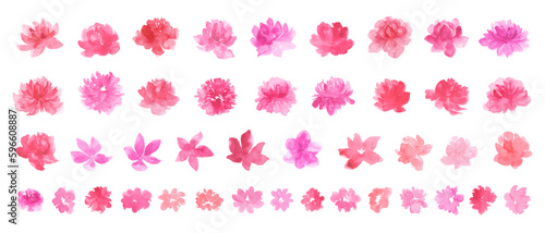 Set of romantic watercolor flowers. Hand painted roses, peonies, spring flowers. 
