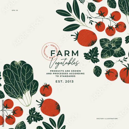 Tomatoes and greens design template. Garden food. Farm fresh organic vegetables background. Vector illustration