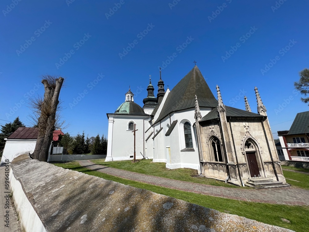 Fototapeta premium Kurozwęki, Pałac w Kurozwękach, Świętokrzyskie atrakcje, Świętokrzyskie Kurozwęki, Pałac w Polsce, Kurozwęki, architektura, budowa, dom, zamek, dwór, 