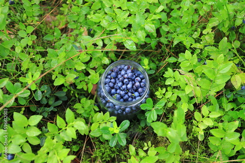 Angle view on the glass jar with fresh blueberries (ID: 596612003)