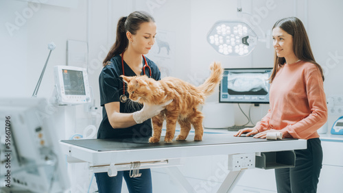 At a Modern Vet Clinic: Red Maine Coon Walking on Examination Table as a Female Veterinarian Assesses the Cat's Health. Young Owner Helps to Calm Down the Pet and Talks with the Vet Specialist
