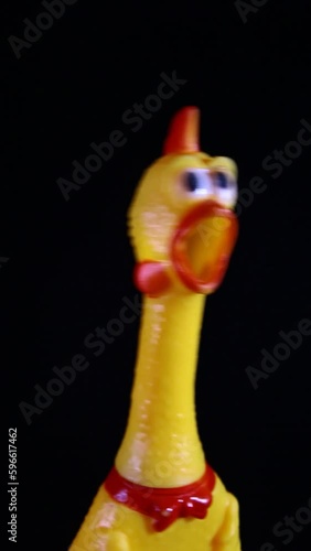 vertical video of rubber chicken dark background