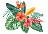 Colored tropical flowers and palm leaves on isolated white background, watercolor botanical painting