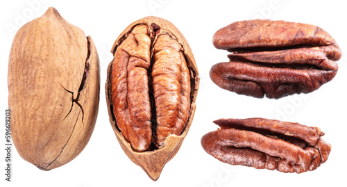 Set of shelled and cracked pecan nuts isolated on white background.